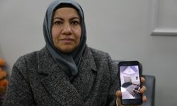 'Sazan Sarmalı' bir ailenin daha hayallerini yıktı!