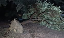 Hortum Manavgat’ı savaş alanına çevirdi