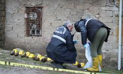 Çocukların oynadığı cisimler mühimmat çıktı