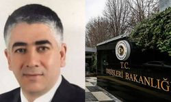 Dışişleri Bakan Yardımcılığına Hacı Ali Özel atandı