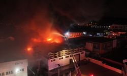 Düzce'de korkutan yangın
