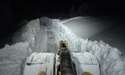 Elazığ’da kapalı köy yolları açıldı