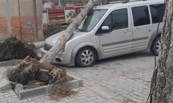 Valilikten fırtına uyarısı