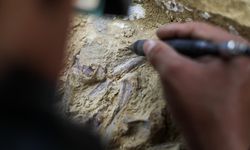 773 bin yıl öncesine ait insan fosilleri bulundu!