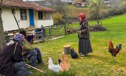 Türkiye'de köy sayısı 18 bin 215 olarak kayıtlara geçti!