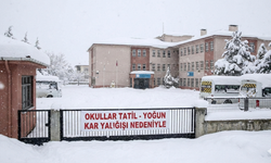 9 Ocak'ta kar tatili yapacak iller hangileri?