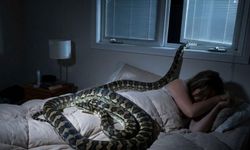 Bir kadın gece yarısı 2,5 metrelik pitonla uyandı!