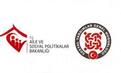 Yeşilli SYDV müdürü gözaltına alındı!