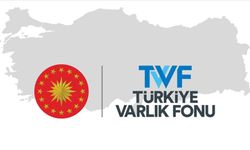 Türkiye Varlık Fonu'nun denetimi görüşüldü