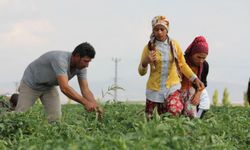 Tarım ve esnaf kredilerine yeni düzenleme