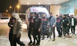 7 düzensiz göçmen yakalandı