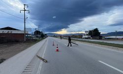 Tokat'ta şiddetli rüzgar fabrika çatısını uçurdu