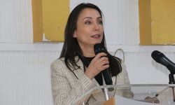 Hatimoğulları: Rapor, 100 yıllık Kürt sorununu bir dakikada çözmeyecek!