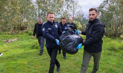İzmir'de zehirlenen hayvanlarla ilgili inceleme başlatıldı!