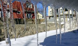 Kars ve Ardahan'da hayat dondu!