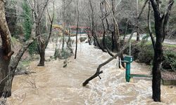 Alanya'da çay taştı