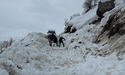 Hakkâri’de çığ düştü: Öğrenci servisi yolda kaldı