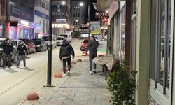 Tokat'ta fırtına ağacı devirdi