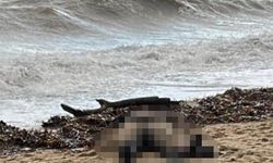 Sarımsaklı sahiline kadın cesedi vurdu