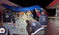 Tır dorsesinde saklanan 12 göçmen yakalandı!
