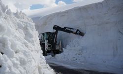 Muş’ta kar kalınlığı 6 metreyi aştı