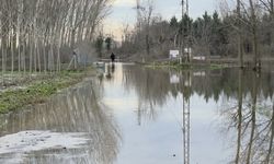 Edirne'de taşkın suları çekiliyor