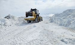 3 ilde 198 yerleşim yerinin yolu kapandı!