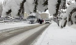 Doğu illeri İlkbaharda kara teslim!