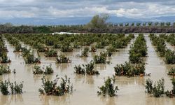 Kuvvetli yağışlar tarım arazilerini vurdu
