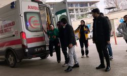 Komşu kavgasında 2 kadın yaralandı