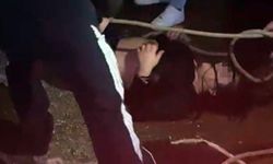 Denize atlayan kadını vatandaşlar kurtardı!