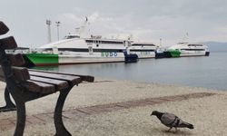 İDO ve Budo'dan sefer iptalleri