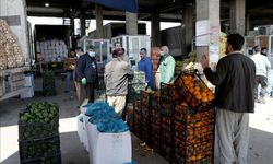 Hal işlemlerinde vergi kaybı tespit edildi!