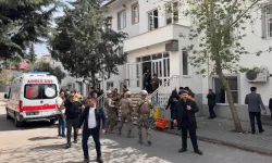 "C31K" Telegram kanalı yöneticisi de gözaltında!