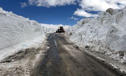 Ardahan-Ardanuç kara yolu 4 ay sonra ulaşıma açılıyor