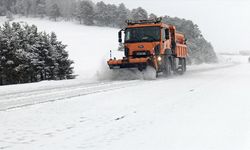 Doğu illerinde Nisan ayında kar esareti!