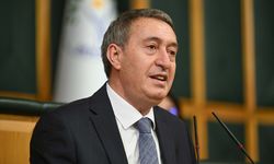 DEM Parti: Türkiye'de siyasi iklimin normalleşmesi lazım