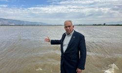 Menderes Nehri taştı, tarım arazileri su altında kaldı!