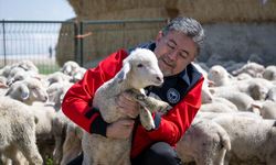 Bakan Yumaklı: Kaliteli bir üretimi hayvansal üretimde yerine getireceğiz!