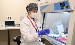 Türkiye'de kan kanseri için 'hücre' tedavisi başladı!