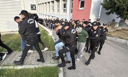 'Bayğaralar' suç örgütünden 287 şüpheli adliyede!