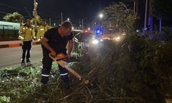 Hatay'da fırtına yıktı geçti!