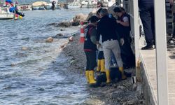 Körfezde erkek cesedi bulundu!