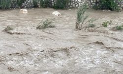 Mersin'de sağanak sele yol açtı