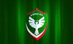 İkincilik mücadelesinde Amedspor yara aldı!