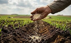 Katı amonyum nitratın gümrük vergisi sıfırlandı!