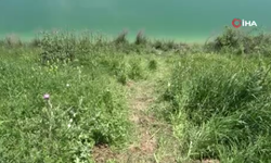 Sulama kanalında kadın cesedi bulundu