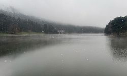 Gölcük’te kar yağışı ve sis etkili oldu