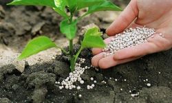 Gübrede gümrük vergileri sıfırlandı!