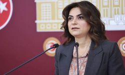 DEM Parti'li Koçyiğit: Okullarda güvenlik, demir kapılarla olmaz!